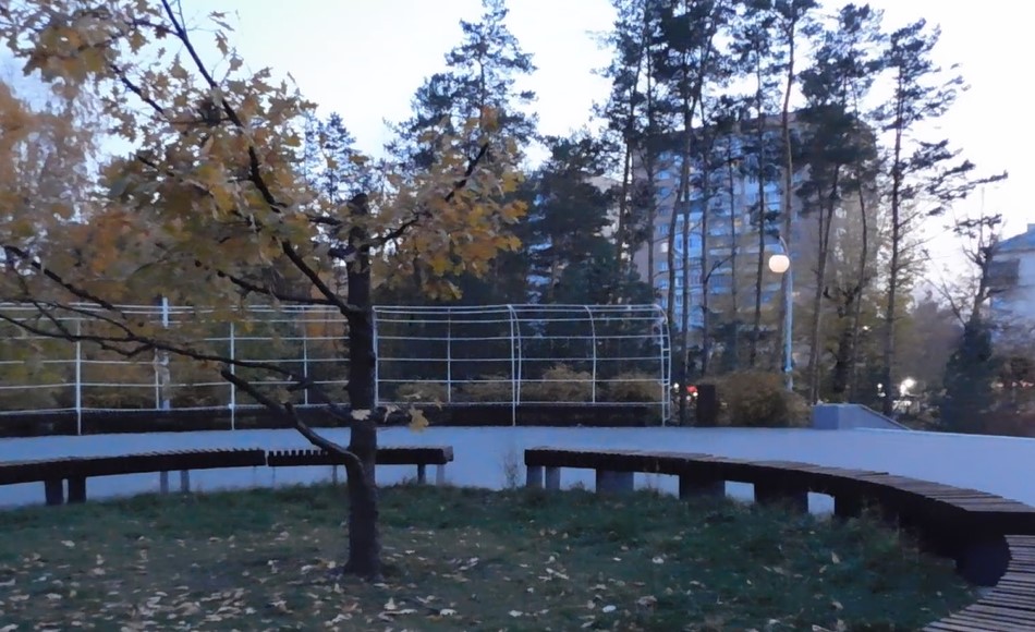 Дуб Менделеева в парке Сосновая роща (парк Химиков)