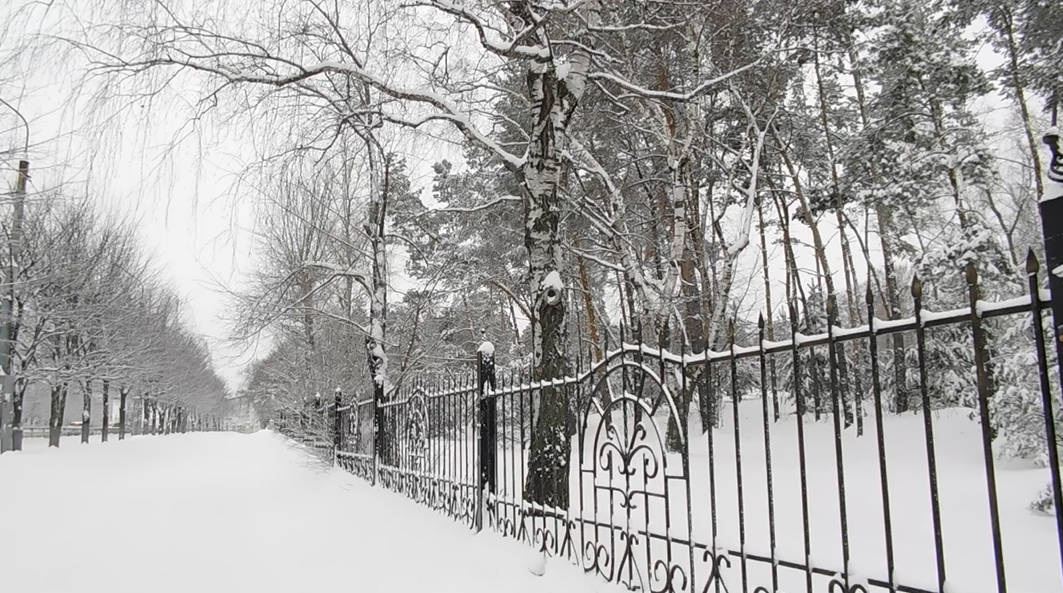 Ограда парка Сосновая роща со стороны улицы Декабристов