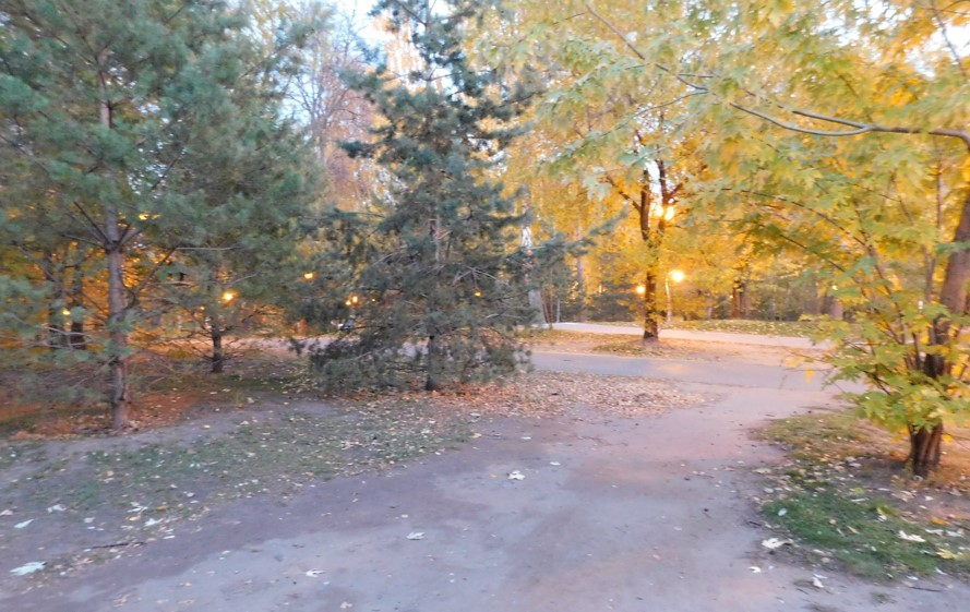 Вечер в парке Соснова роща (Казань)