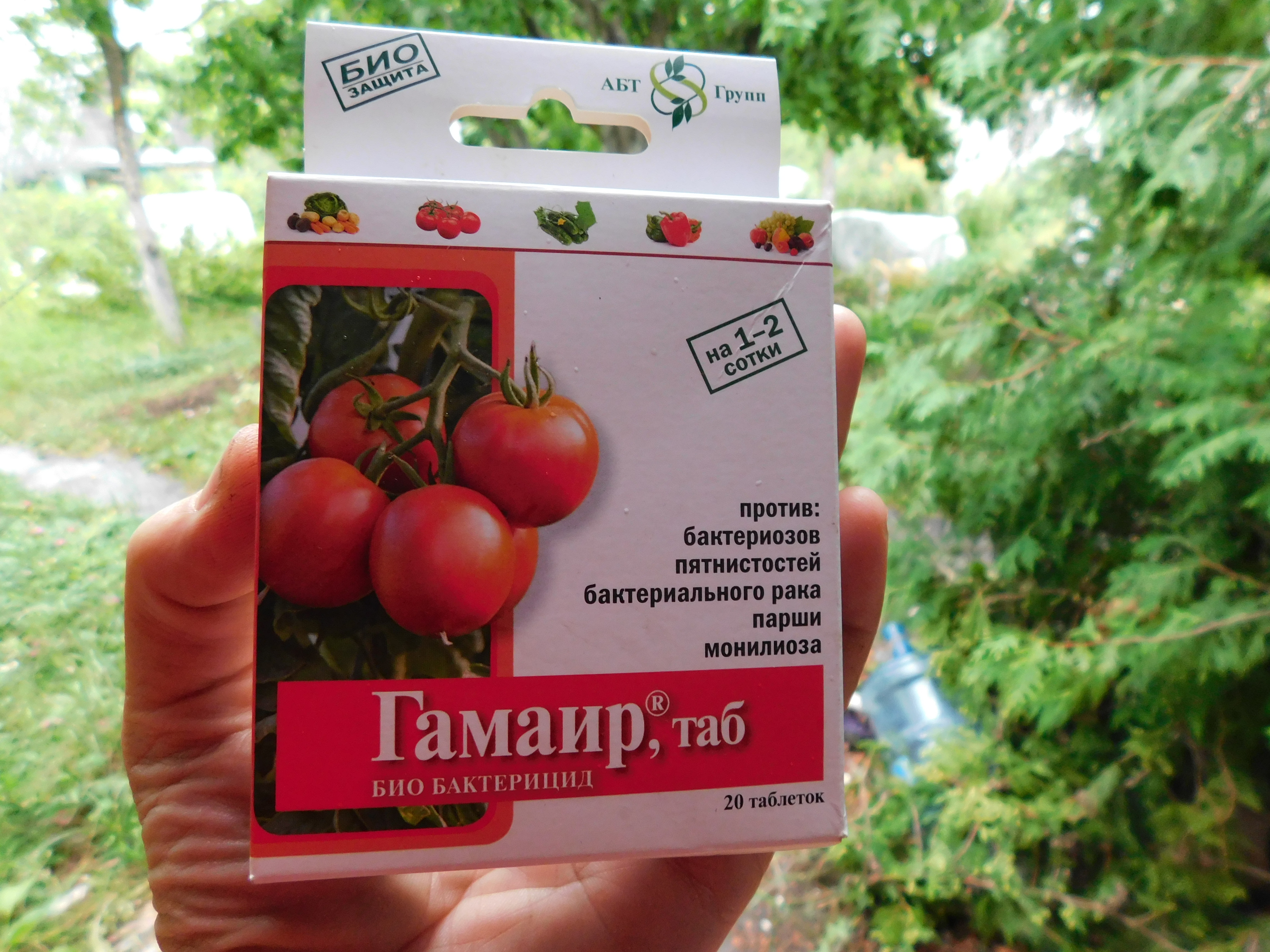 Гамаир - препарат для лечения томатов